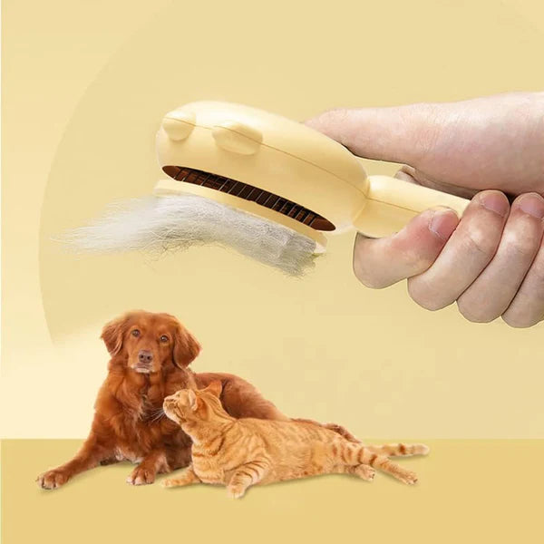 Brosse de Toilettage pour Animaux de compagnie